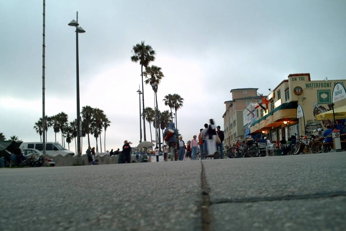 Palm trees and buildings